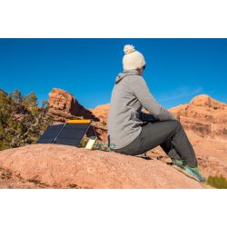 BioLite SolarPanel 10+