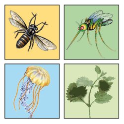 TravelSafe Bite Relief Lotion Myg (20g)